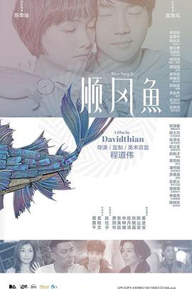 国内精品九一在线播放