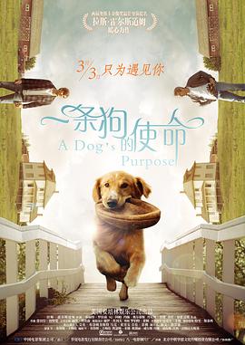 非洲性videosxxxxhd
