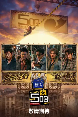 国产v片在线观看