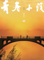岛国一级片