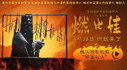 欧美gay视频激情