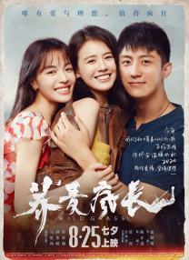 给个能看的网站