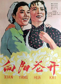 电影麻豆