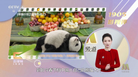 特黄特色大片免费播放器9